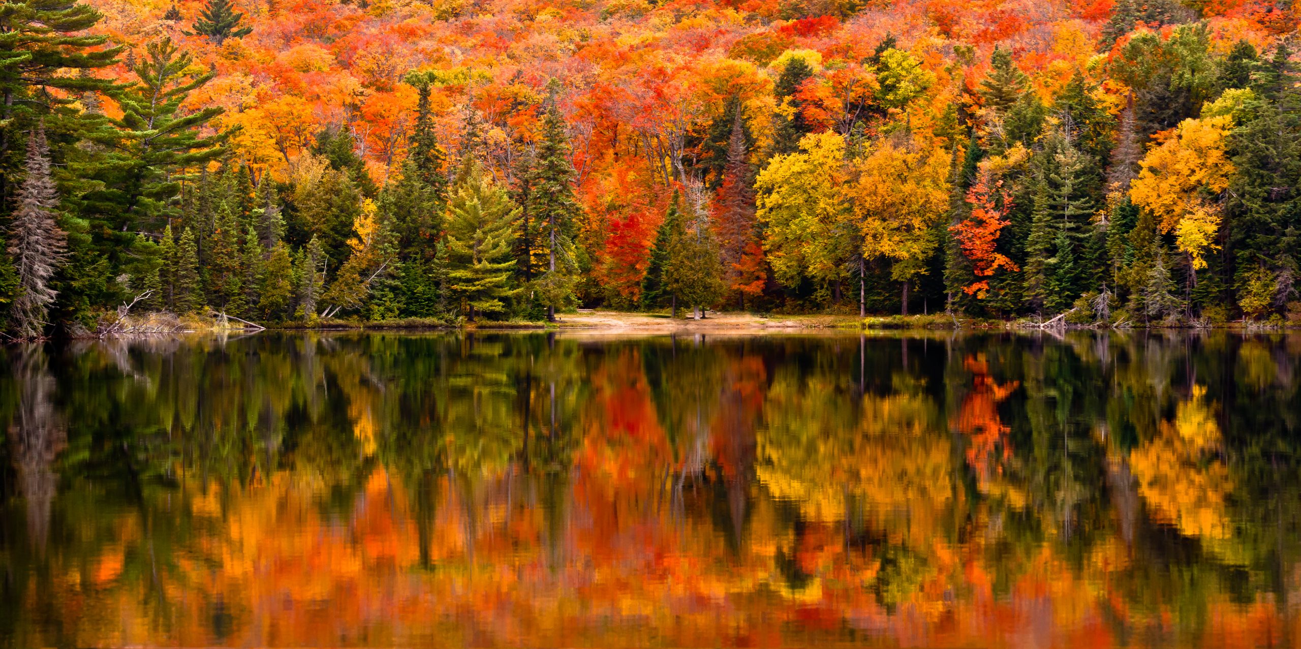 A photo of a lake during Autumn