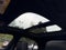 2017 Cadillac CTS Luxury AWD
